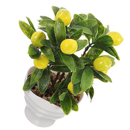 Angoily lHt[cc[~͔AUAԑi ~̓̐A ԃAWg Ƃ̑plHA lHȂi Ƃ̖~͂̑ U̔A~ V~[V