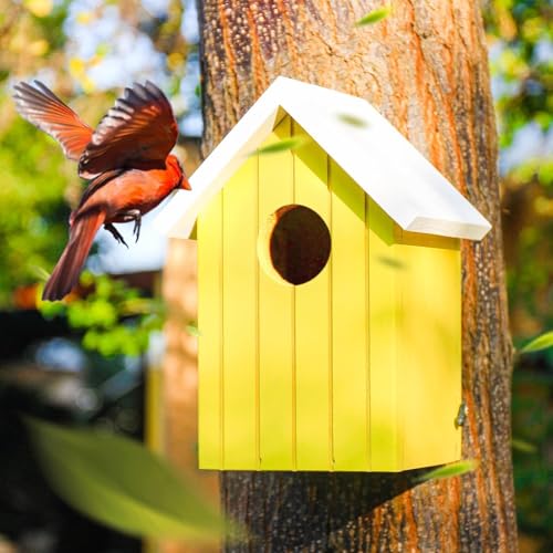Image of BIRDSHALA Wooden Large Bird House for Sparrow, Budgies, Bulbul, Wild Birds & Pet Birds - Colorful Garden Decorative (Yellow)