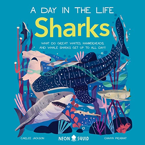 A Day in the Life: Sharks: What Do Great Whites, Hammerheads, and Whale