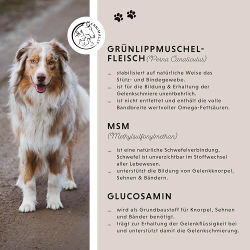 Gelenktabletten für Hunde mit MSM, Grünlippmuschel, Teufelskralle, Glucosamin & Hyaluron - 120 Gelenke Tabletten für Hunde - Hohe Akzeptanz beim Hund durch kleine Tabletten