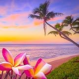  Relaxation music for Aromas, Spa, Meditation, Yoga, Sleep - Healed from the core that feels the atmosphere of the tropical sea