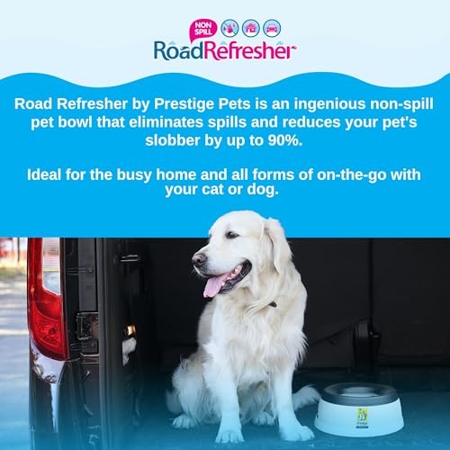 Road Refresher Non Spill Water Bowl Grey Small
