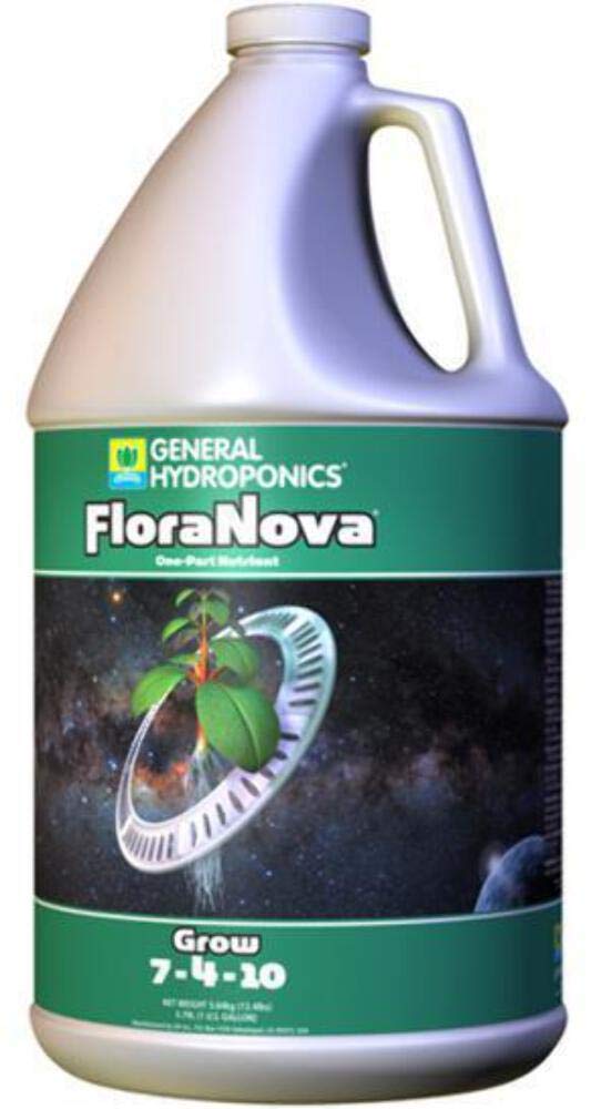 GH FloraNova bloom