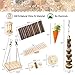 Hamster Chew Toys Set Small Animal Molar Toys Teeth Care Wooden Accessories for Guinea Pigs,Chinchillas,Gerbils,Mice,Rats,Mouse Rodents Toy Swing Seesaw Bridge (Wood)