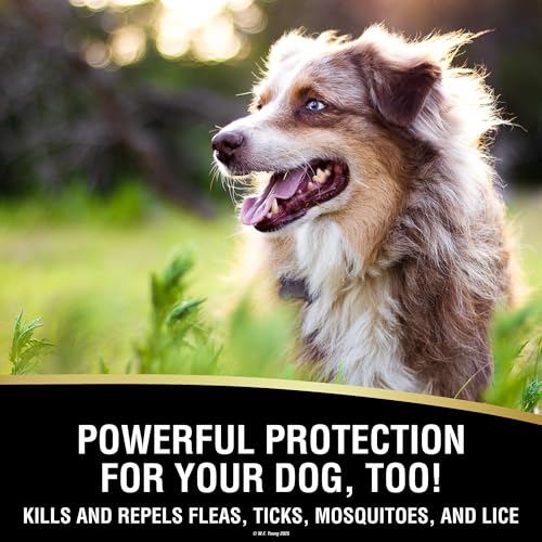 Absorbine UltraShield EX Insecticide & Repellent, 32 fl oz Sprayer | Use on Horses, Dogs & Premise, Kills & Repels 70+ Species Including Flies, Mosquitoes, Ticks, Fleas, Lice, Up to 17 Days - Image 5