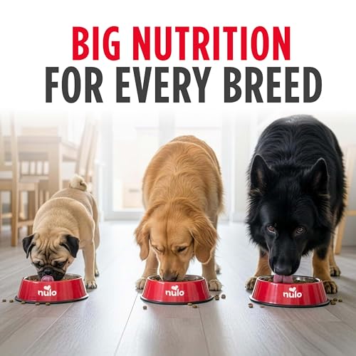 Image of Nulo Frontrunner Dry Dog Food - Adult High-Protein Beef, Barley & Lamb Recipe, Natural Kibble with Ancient Grains, Probiotics, Taurine, Omega 3 for Small, Medium and Large Breeds, 5lb Bag