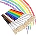 U.S. Art Supply 10-Piece Fat Hog Bristle Brush Set - Large Chubby Paint Brushes, Classroom Paint Brushes for Crafts, Tempera & Acrylic Painting, Ideal for Beginners & Students
