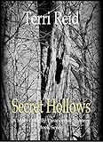 Secret Hollows (Mary O'Reilly Series Book 7)