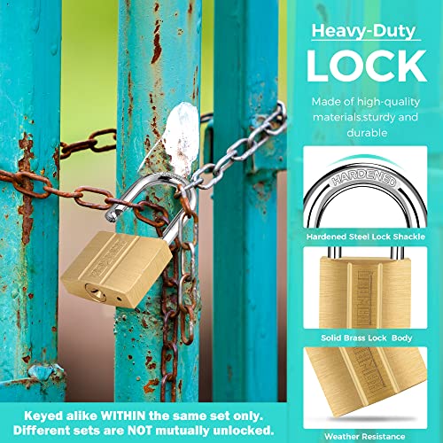 Image of 81 /40-4P Brass Keyed Padlock (Keyed Alike, Waterproof, Solid Brass Lock) for Sheds, Storage Unit, School, Gym Locker, Fence, Toolbox, Hasp, Storage - 1-9 /16 in. (40 mm) *4