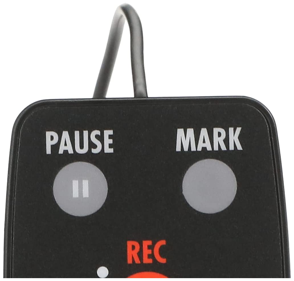 Zoom - RC-2 - filocomando per registratore H2n