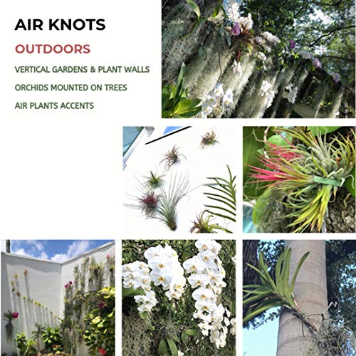 Wall Planter Set Of 5 Wall Air Plant Holder Wall Terrarium| Orchid Mount Airplant Holder Air Plant Containers| Hanging Orchid Planter| Wall Mounted Plant Hook| Wall Plant Mount For Tree Air Knots G5 #TOP4