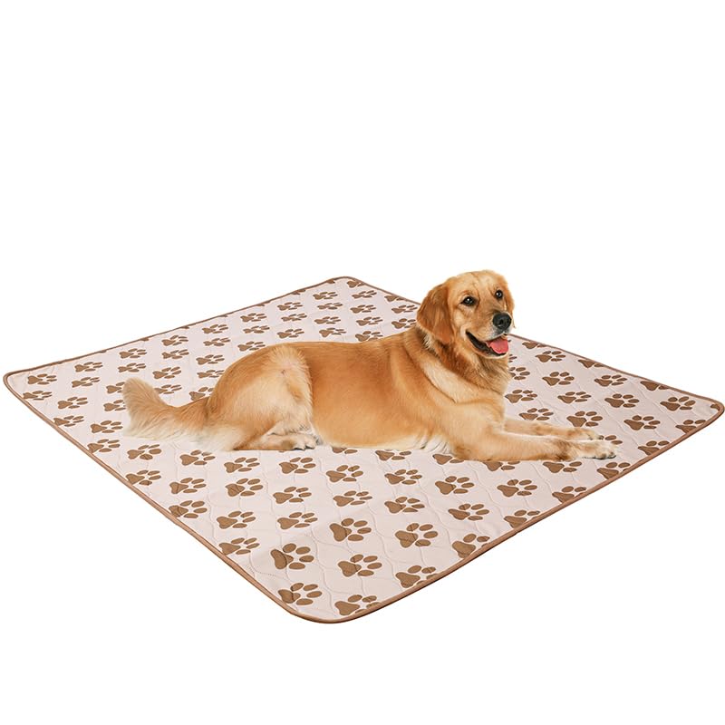 Image of Washable Pee Pads for Dogs | 24 inchx34 inch Reusable Puppy Pads | Absorbent Pet Travel Pad | Anti-Slip Waterproof Pet Training Mats with Absorbency for Puppies & Elderly Dogs (L)