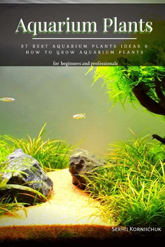 Aquarium Plants: 37 Best Aquarium Plants Ideas & How tÐ¾ Grow Aquarium Plants