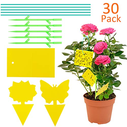 Preisvergleich Produktbild Hospaop Fliegenfallen Gelbsticker, Fruchtfliegenfalle, 30 Stück Insektenfalle Leimfallen, Gelbtafeln Gelbfalle Fur in Ihrem Garten, Gegen Trauermücken, Blattläuse, Minierfliegen und weiße Fliegen