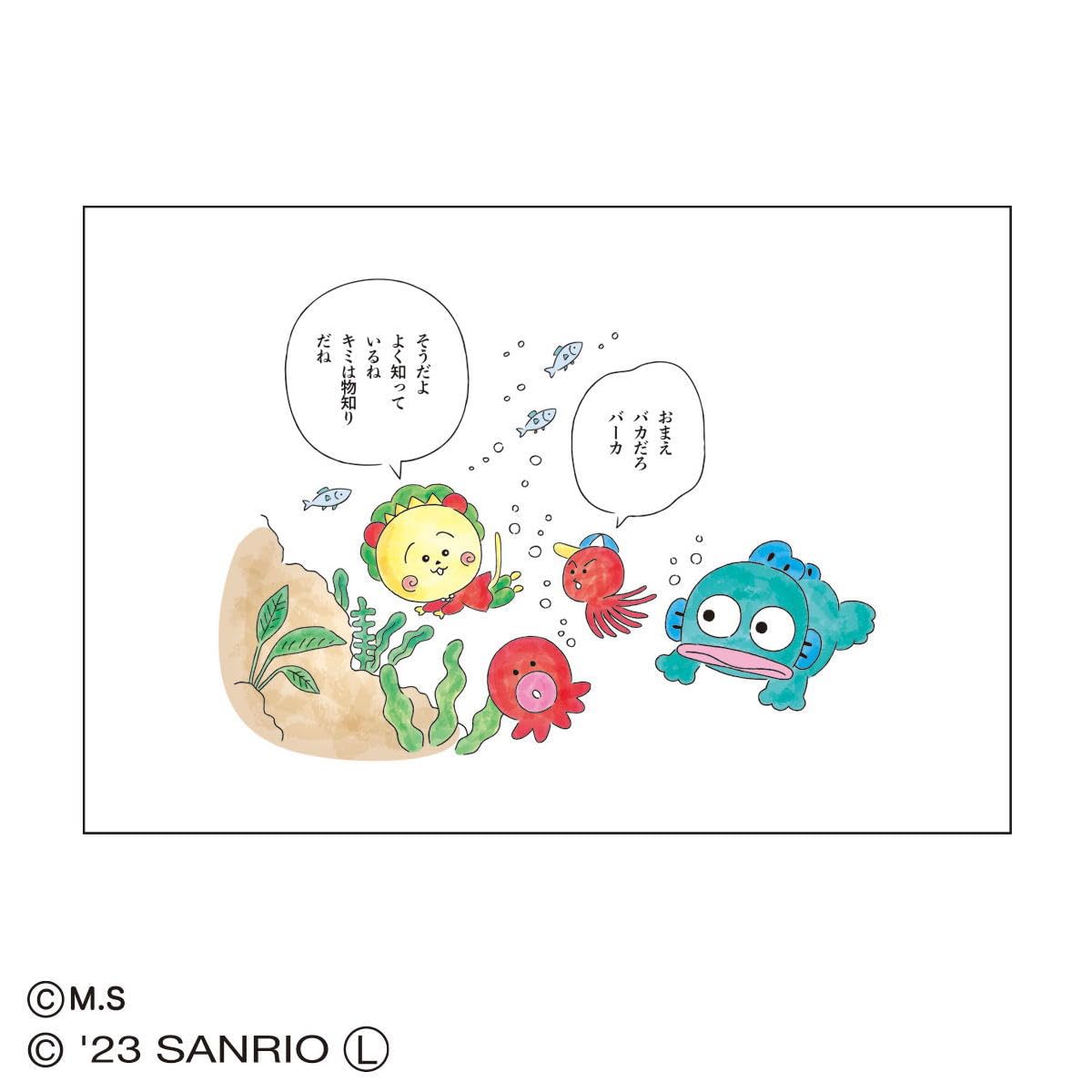 Amazon.co.jp: トーシンパック コジコジ×サンリオ ポストカード