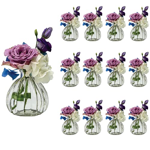 casavetro 12 x Kleine Vase Blumen Tisch-Vase Dekoration Hochzeit Party Set...