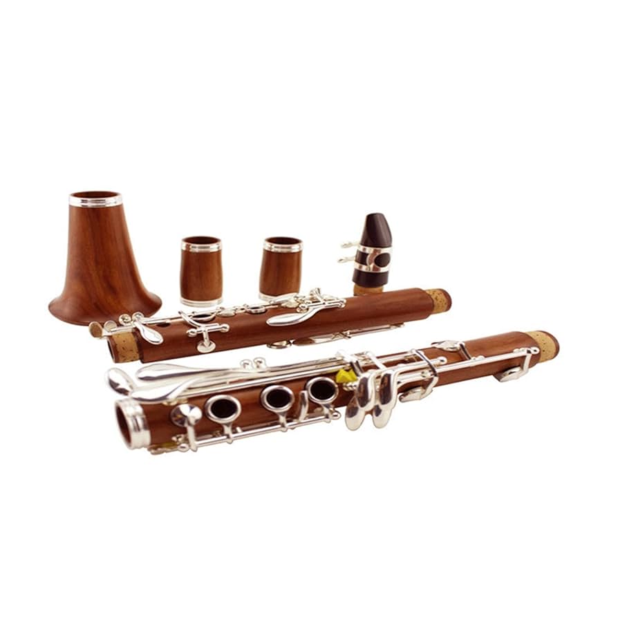 クラリネット　組み立て音確認無し　本体はほぼ未使用 クラリネット 組み立て音確認無し 本体はほぼ未使用