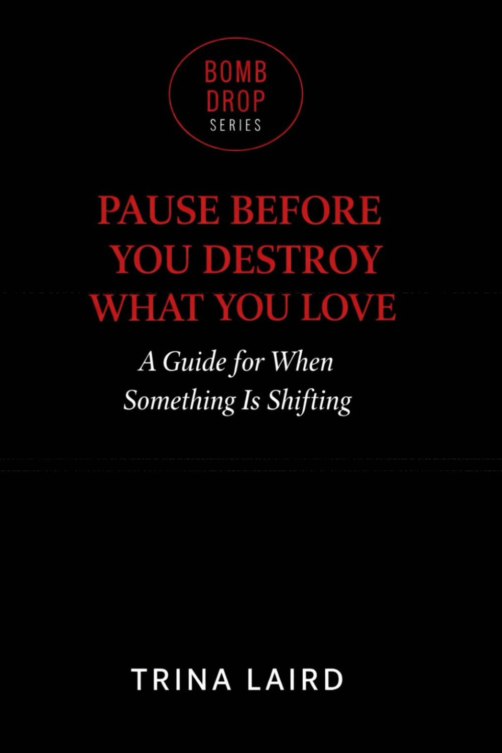 Pause Before You Destroy What You Love (The Bomb Drop Series)