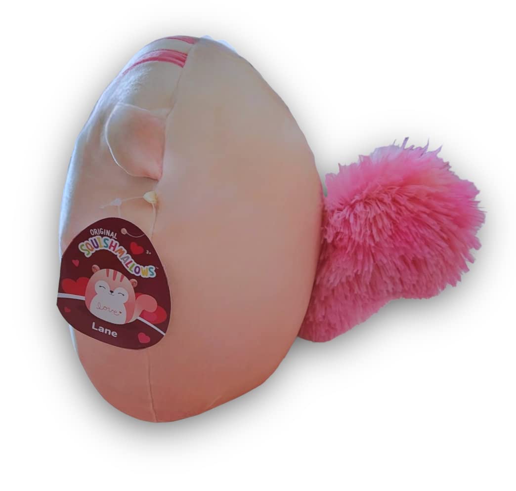 Squishmallows Official Kellytoy Lane The Pink Ombré Squirrel with Shiny Rose  Gold Ears and Love on Her Belly Plush