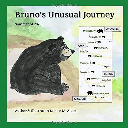 Bruno's Unusual Journey