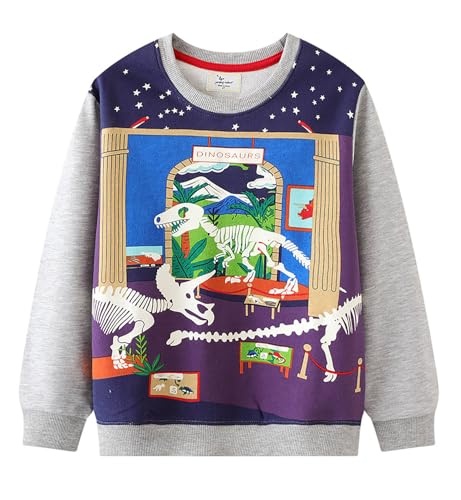 Boys Sweatshirts Casual Sweatshirts Cotton Sweatshirts Long Sleeve T-shirts Crew Neck Cartoon Tops for Boys-603