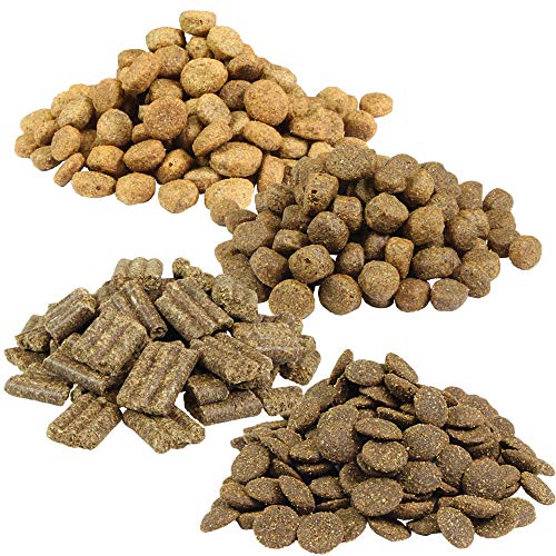 Trockenfutter Testpaket ausgewachsene Hunde 4 Sorten von besten Hundefutter