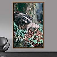 Framed Canvas Wall Art Raccoons Animals Fun Living Room Multicolor Photography Rustic Squirrel - 16x24 inches