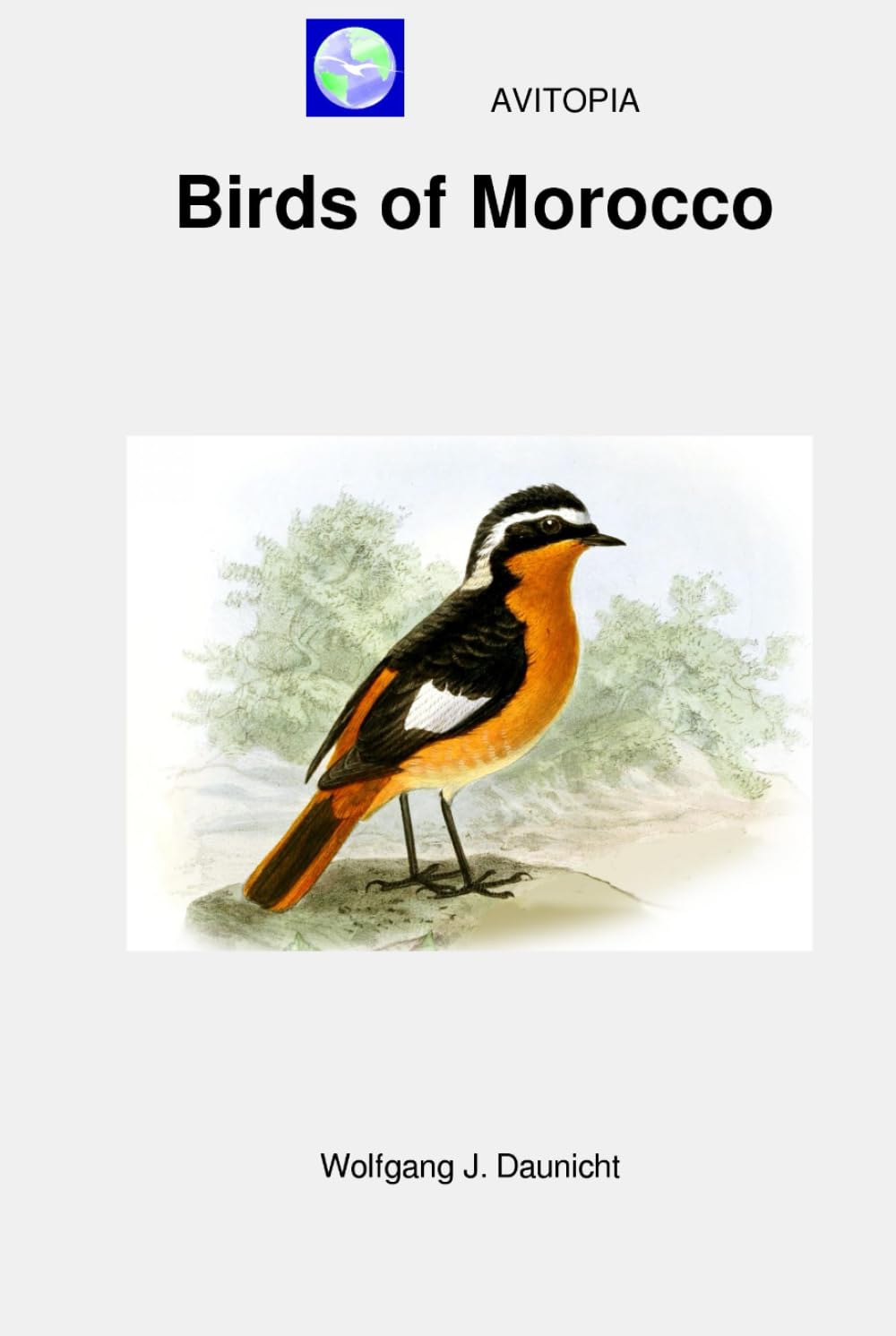 AVITOPIA - Birds of Morocco