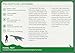 The Dinosaur Deck: 52 of the most fascinating dinosaurs and other prehistoric reptiles