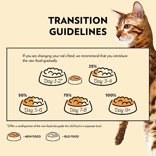 PrimaCat - Klassisches Nassfutter für Katzen, Multipack, Verschiedene Geschmacksrichtungen in Bratensoße, 28 x 85 g