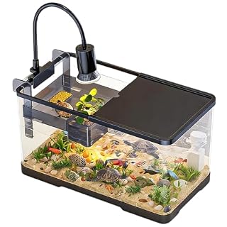 Ysislybin aquaterrarium ABS 30,6 cm avec plateforme et lampe