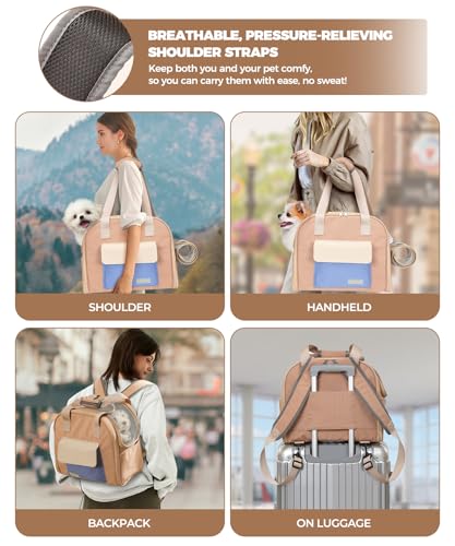 Expandable Cat & Small Dog Carrier Backpack, Soft-Sided Airline-Approved Pet Travel Bag with Dual-Side Expansion, Under-Seat Fit, Breathable Mesh, for Hiking, Vet Visits & Trips (Up to 22 lbs)