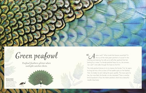 An Anthology of Exquisite Birds (DK Children's Anthologies) - Image 2