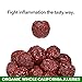 JUJUME | USDA Organic California Grown Jujubes Red Dates | Individually Sorted 3X for QA | High Grade Superfood | Healthy Dried Fruit | Certified All-Natural Non-GMO | 6 oz. bag