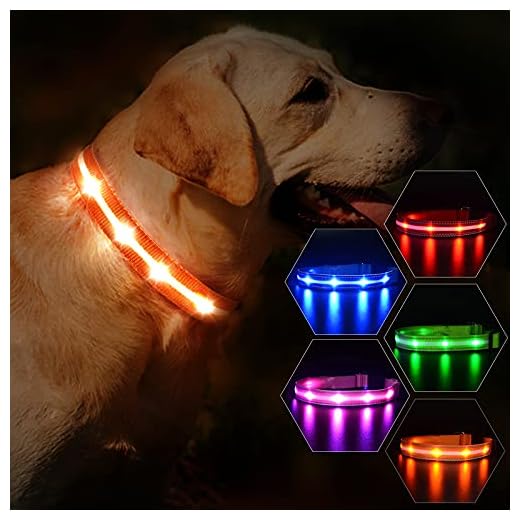 MASBRILL Collar de Perro Luz LED, 3 Modos Collar Perro Luminoso con Recargable y Impermeable, Collar de Perro de Destello Ajustable para Perros Pequeños/Medianos/Grandes(Naranja M)