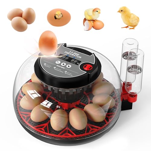 Incubators for Hatching Eggs,12 Egg Automatic Egg Turner with Temperature Humidity Control,Digital Display,Auto Alarm,360° Viewing for Chicken,Quail,Duck Eggs