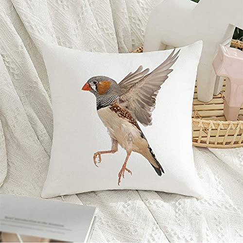 Decorative Velvet Throw Pillow Cover Animal Finch Mid Flying Taeniopygia Guttata Full Against Bird Shot Length Animals Wildlife Beige Soft Cushion Case Square Pillowcase 22 x 22 Inch for Couch Sofa