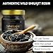 Himalayan Shilajit Resin - Gold Grade, US-Lab Verified&Tested, 500 mg Maximum Potency, 85 Trace Minerals with Fulvic & Humic Acid, Energy & Immune Support, 30g