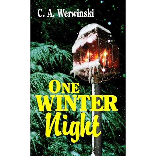 One Winter Night by The Editors Of True Story And True Confessions episode artwork