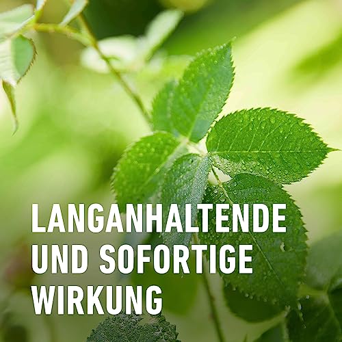 Compo Duaxo Universal Pilz-frei AF, Fungizid, Bekämpfung von Pilzkrankheiten an Zierpflanzen, Gemüse und Kräutern, Anwendungsfertig, 750 ml – Ansicht 5