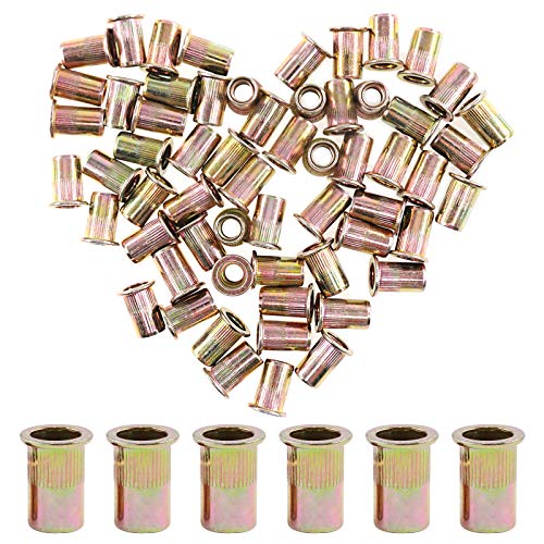 Hilitchi 60 Stück 1/2-13 UNC Nietmuttern