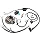 Baceyong Dirtbike-Zündung, Dirt 125ccm Kabelbaum Zündspule Magneto Stator für Dirt Pit Bike 110 50 70 125cc