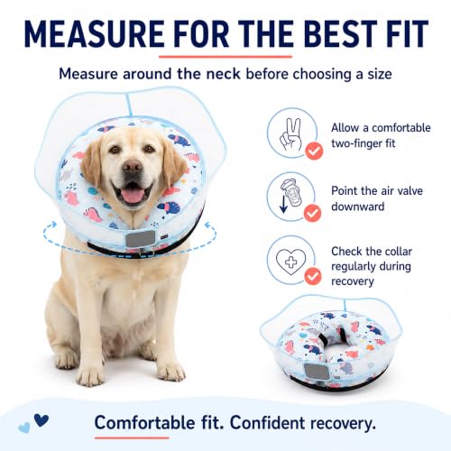 Image of Inflatable Dog Cone Collar for Large Medium Small Dogs, Soft Dog Donut Collar Adjustable Recovery Cone for Pets After Surgery, Extra Enhanced Anti-Licking Guard Shield (Dinosaur, Large)