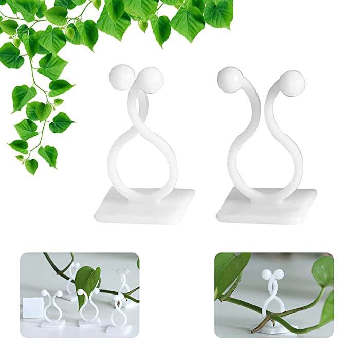 Climbing Clips for Plants, Creeper Hook for Plants, Plant Clip, Plant Climbing Wall Clips, Self-Adhesive Fixture Wall Sticky Hook Plant Support 30Pcs (B0B69LYZJX) Amazon Price History, Amazon Price Tracker