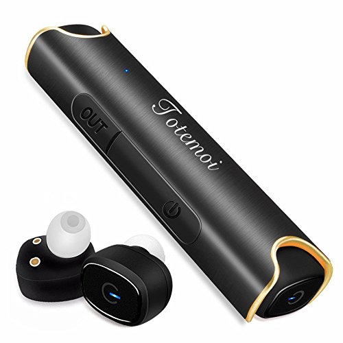 5000円以下の絶対に失敗しない完全ワイヤレスイヤホン購入術 Blueskyzz Com