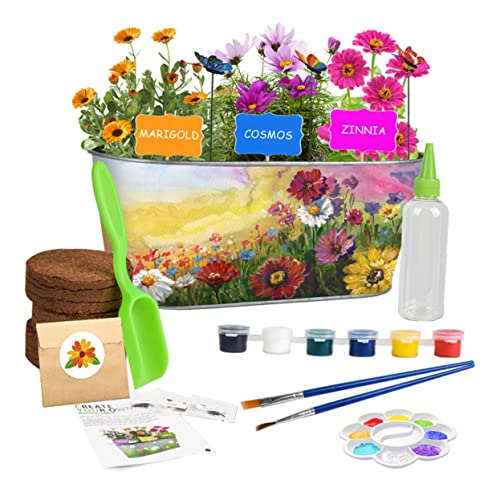 TOYANDONA Kit De De Plantas De Hierbas Kit De Jardinería para Manualidades Herramientas De Bricolaje para Flores para Decorar Interiores y
