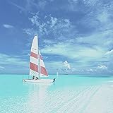 Pacifico (Vacaciones)