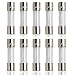 BCP pack of 10 pcs F5AL Fast-Blow Fuse 5A 250V Glass Fuses 5 x 20 mm (5amp) (F5A)