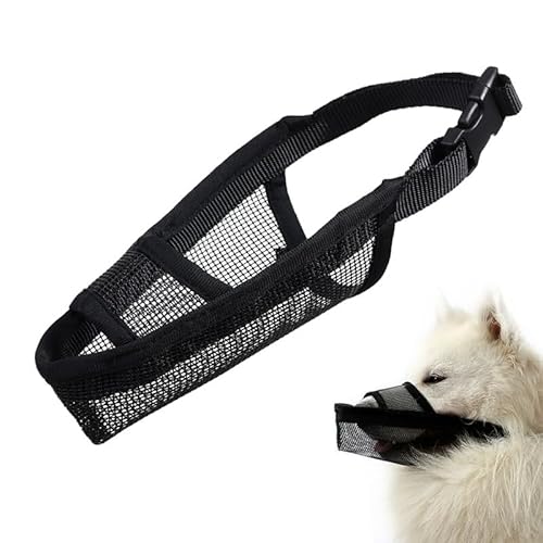 MUYYIKA �� ���� ���p�}�Y�� ���b�V���}�X�N �E���H�� �h�~ ������h�~ ���ݖh�~ (�u���b�N S)