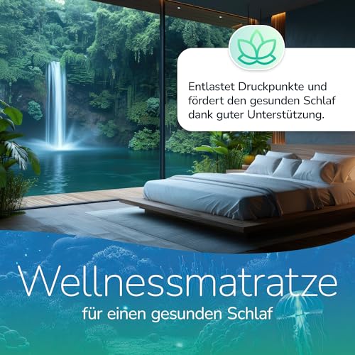 MSS e.K. Aqua Deluxe - 7 Zonen Wellness Kaltschaummatratze - 90 x 180 cm x 16 cm (Kernhöhe 14 cm) - Härtegrad H2 & H3 - Matratze Wendematratze Kaltschaum Oeko-TEX